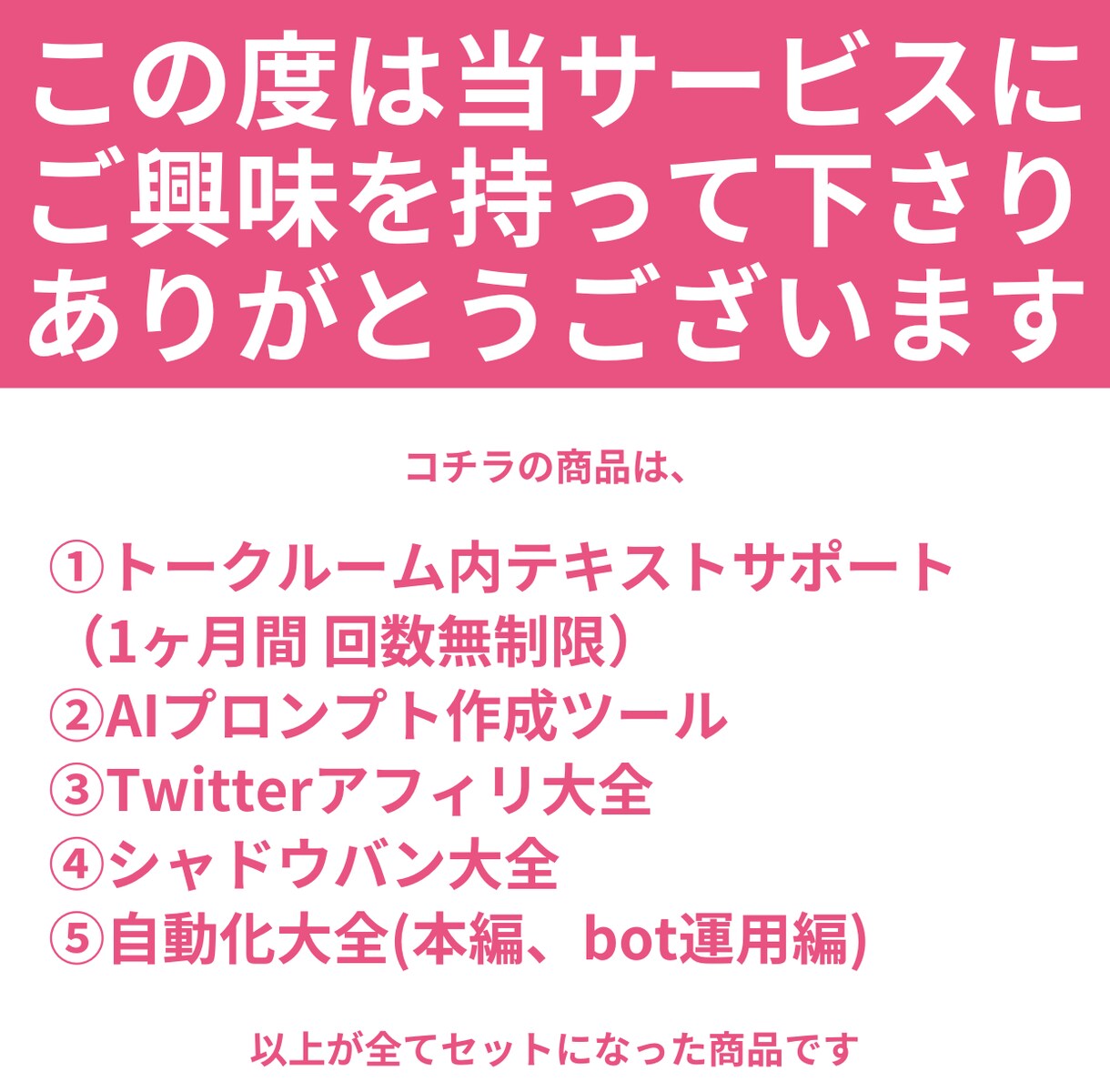 回数無制限サポートでSNS副業が身に付きます 1ヶ月間質問し放題！アフィリエイト初心者でも挫折せず身に付く イメージ2