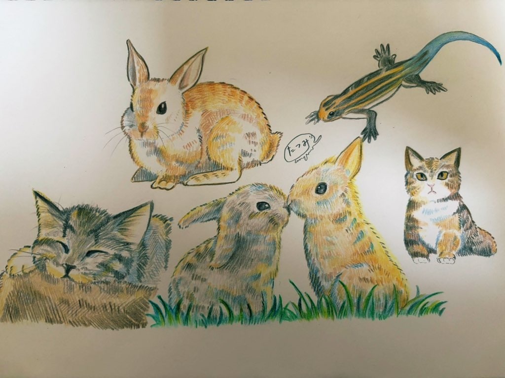 アナログで動物、ペットさん描きます 36色の色鉛筆で色付けいたします！！ イメージ1