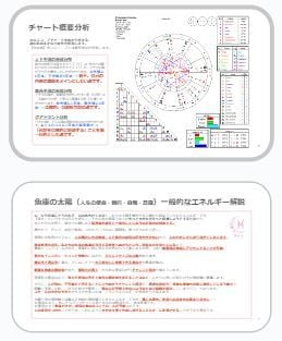 うお座トリセツ【アナタ専用】PDFレポート送ります 恋して夢見る☆不思議の国の甘えん坊将軍… もとい姫君に捧ぐ イメージ5