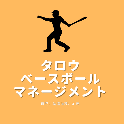 野球の道具のお悩み解決します プロとも親交ある元グローブ職人の用具アドバイス イメージ1