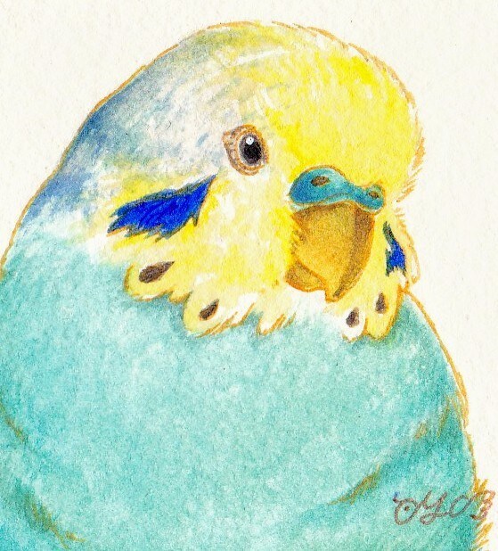 可愛いインコちゃんの似顔絵をお描きします リアルからデフォルメまで多様なイラストをお届けします イメージ6