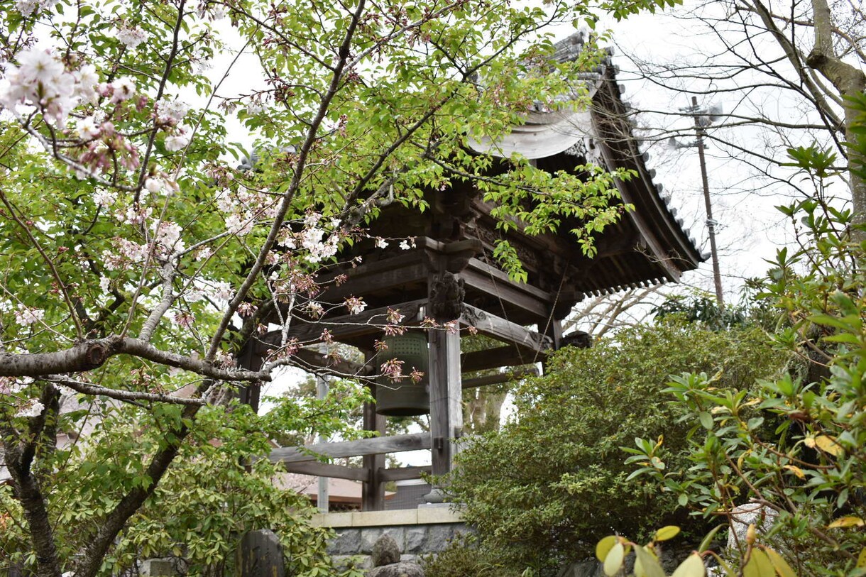 千葉限定！自前の一眼レフで風景など撮影代行します ご希望に添った写真を撮影、販売致します。 イメージ2