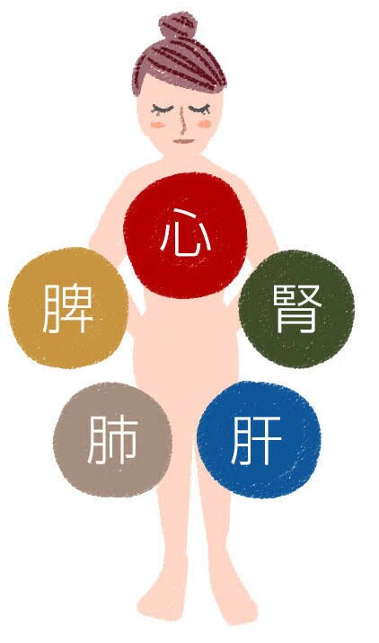 あなたの身体を東洋医学的に診ます 柔道整復師鍼灸師が診る東洋医学的に解決致します。 イメージ2