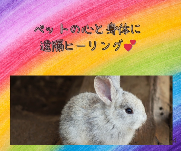 ペットちゃんのストレスをヒーリングで和らげます 遠隔ヒーリングで、ペットちゃんの心と身体を癒します。 イメージ1