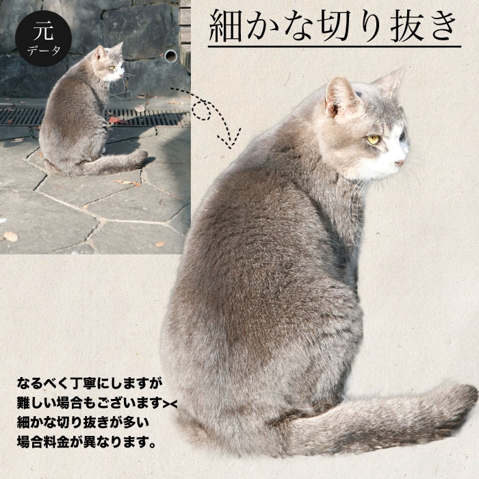 画像切り抜き!!背景透過や修正後お渡します Amazon用メイン画像におすすめ!! イメージ3