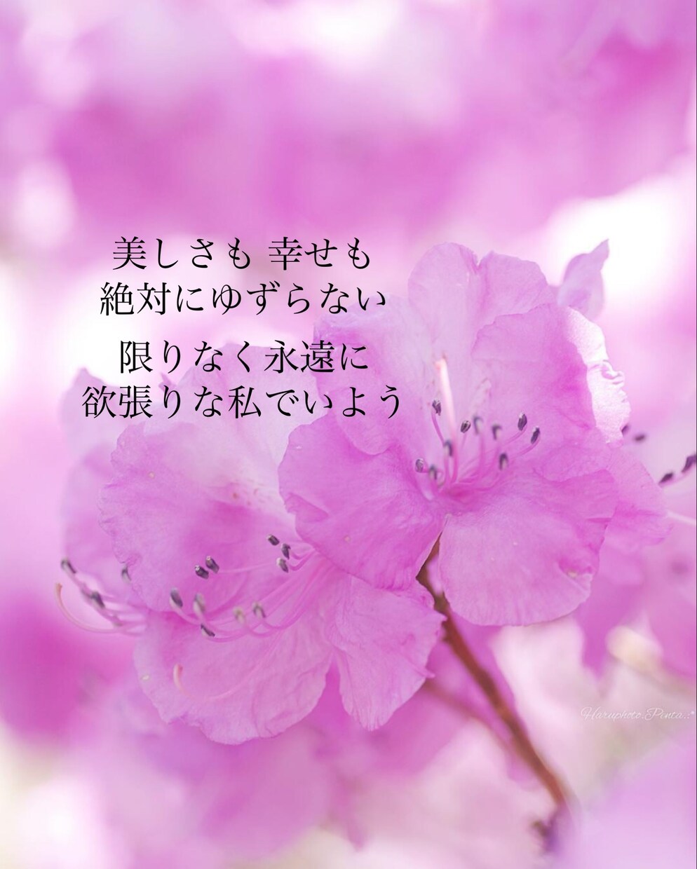 あなただけの名言を作ります 名前や好きな言葉から貴方だけの名言をオリジナルアートに！ イメージ2