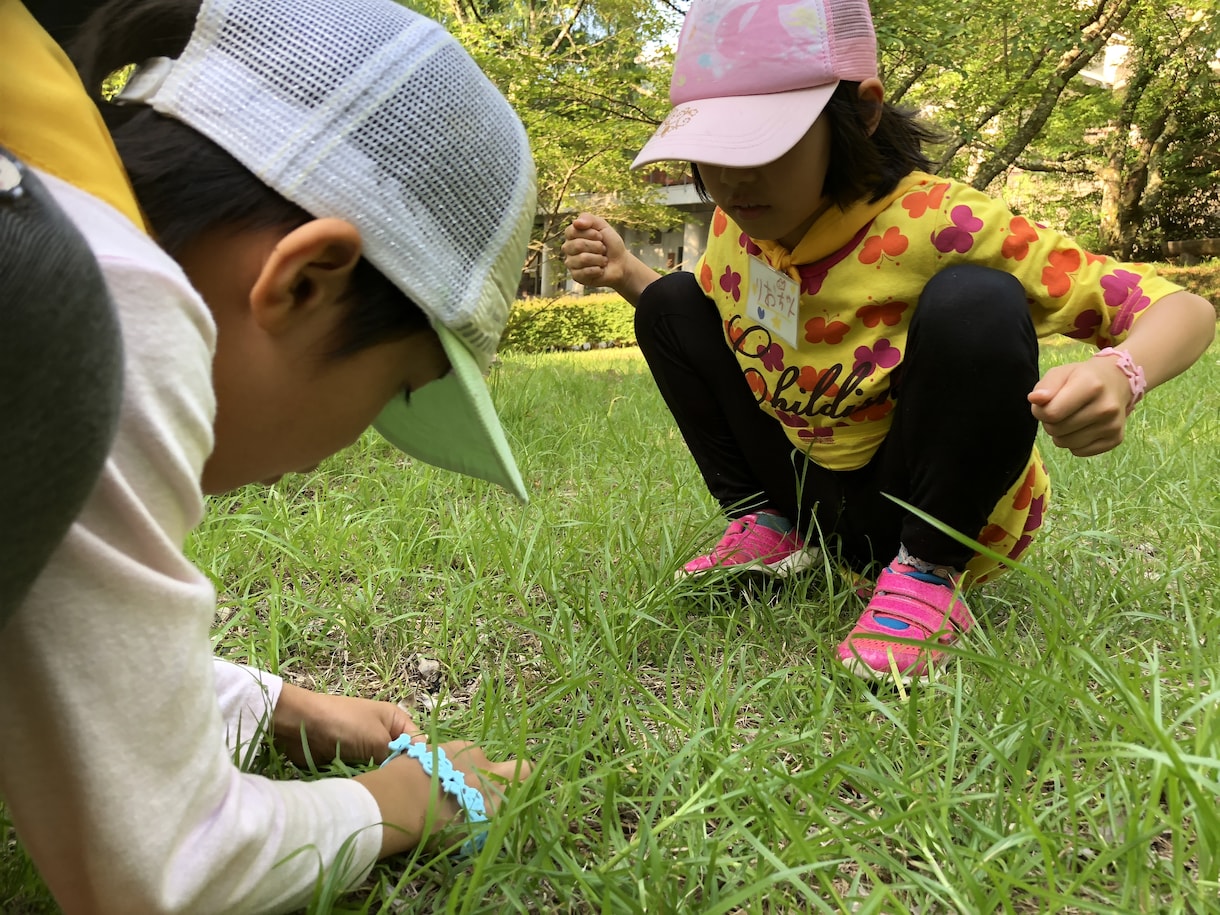 小学生ママ！子どもへのイライラの悩み解決します 「なぜうちの子は○○なの？」を他分野からアプローチして解決 イメージ3