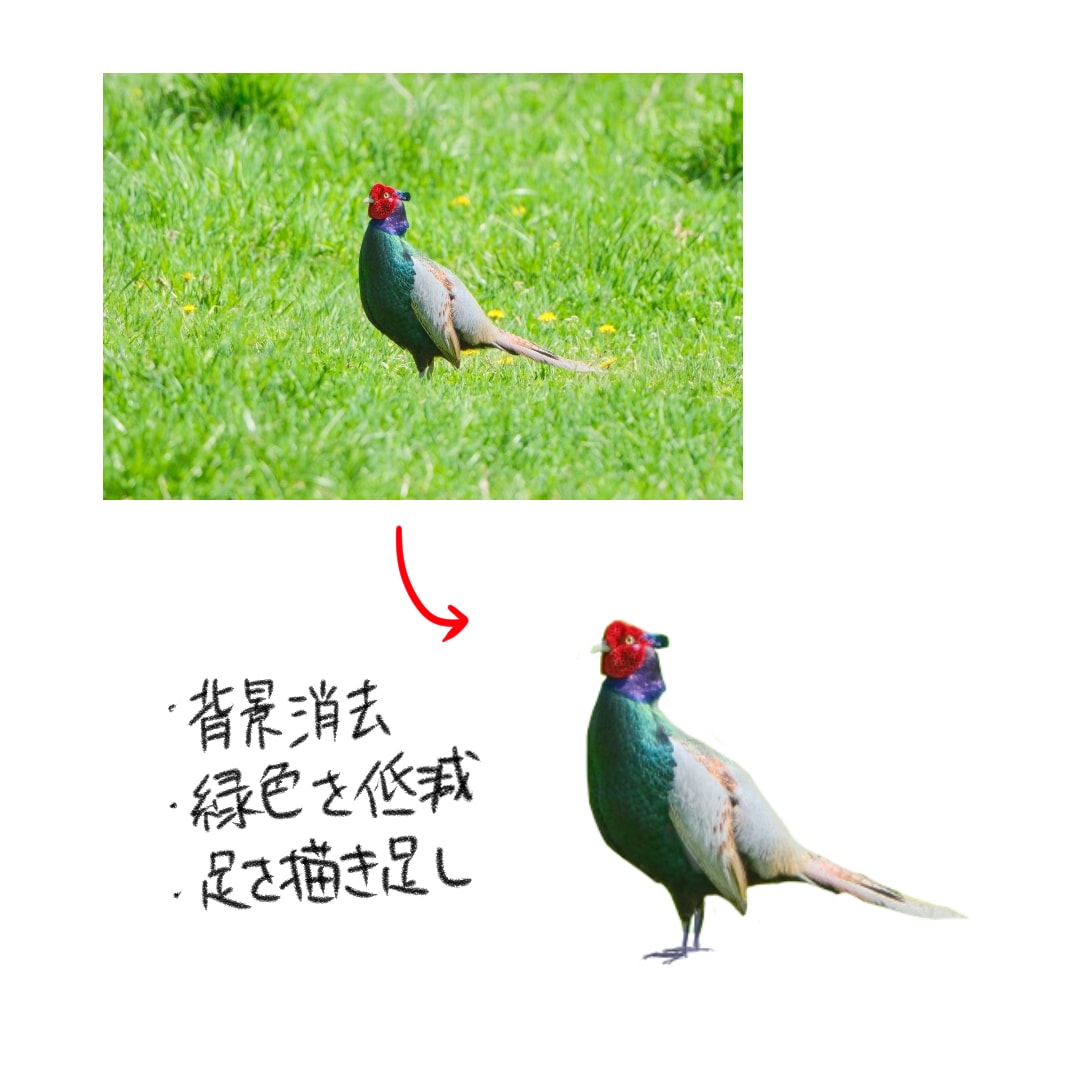 いろんな写真(イラストも含め)加工承ります 肌色の調整から切り抜き・合成・トリミング・文字入れまで イメージ7