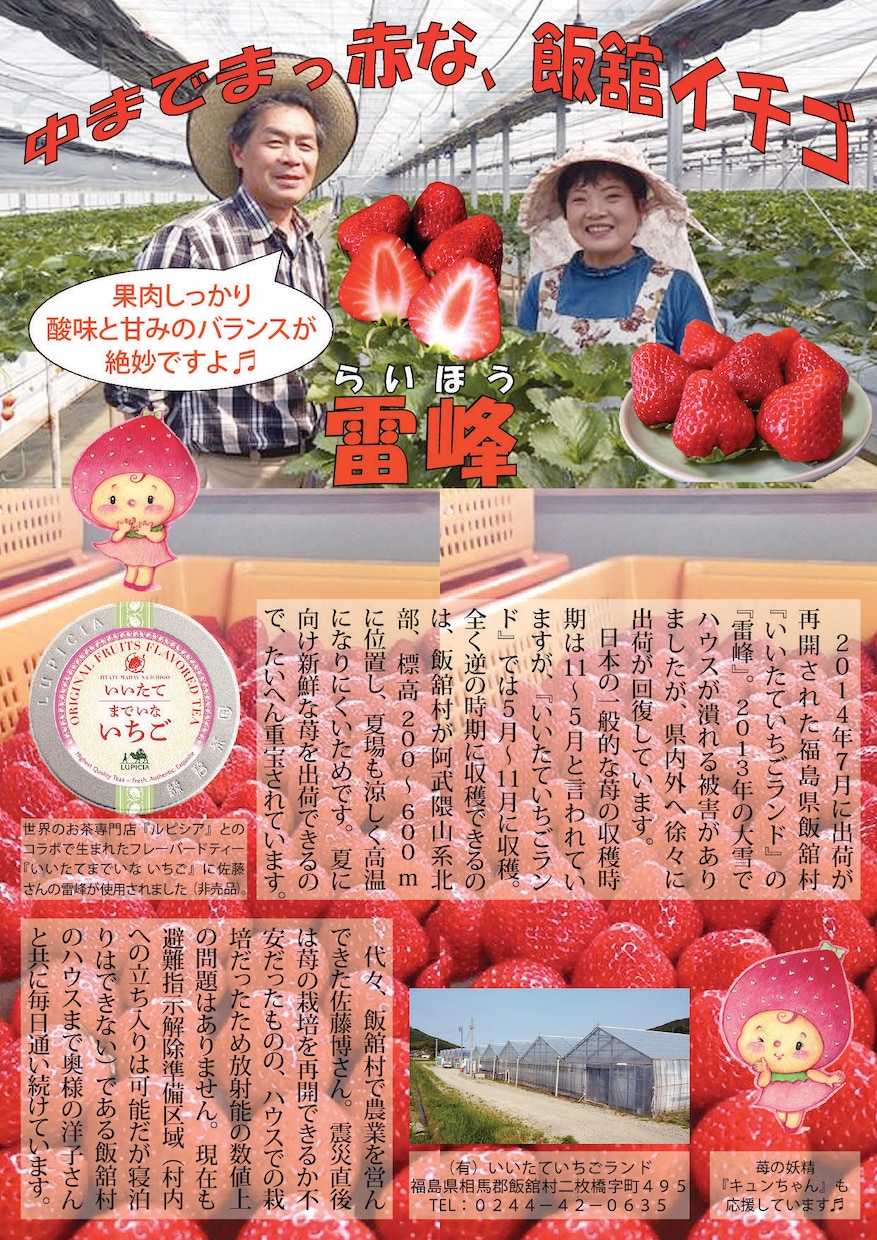 商品紹介,事業案内,講演会,公的機関チラシ作ります 【用途重視】デザインよりも伝わるチラシが大事です イメージ2