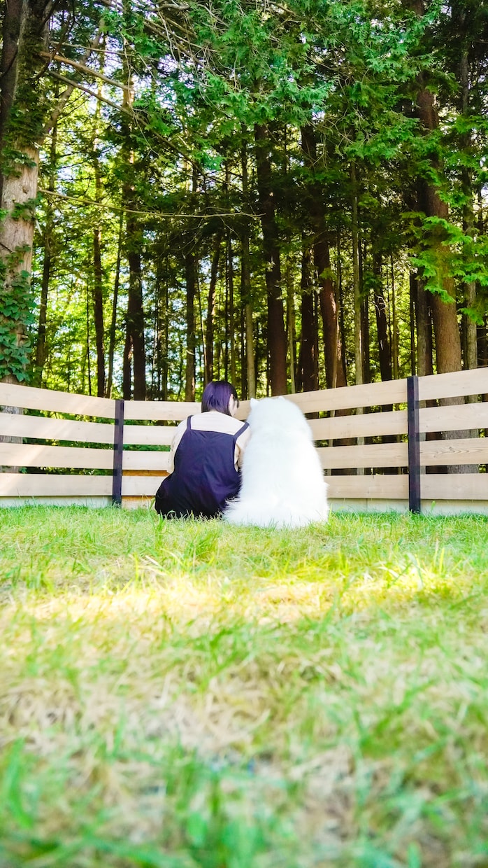 家族だった愛犬/愛猫のお話しお聞きます ペットロスでつらいときに…有資格のカウンセラーが対応します！ イメージ1