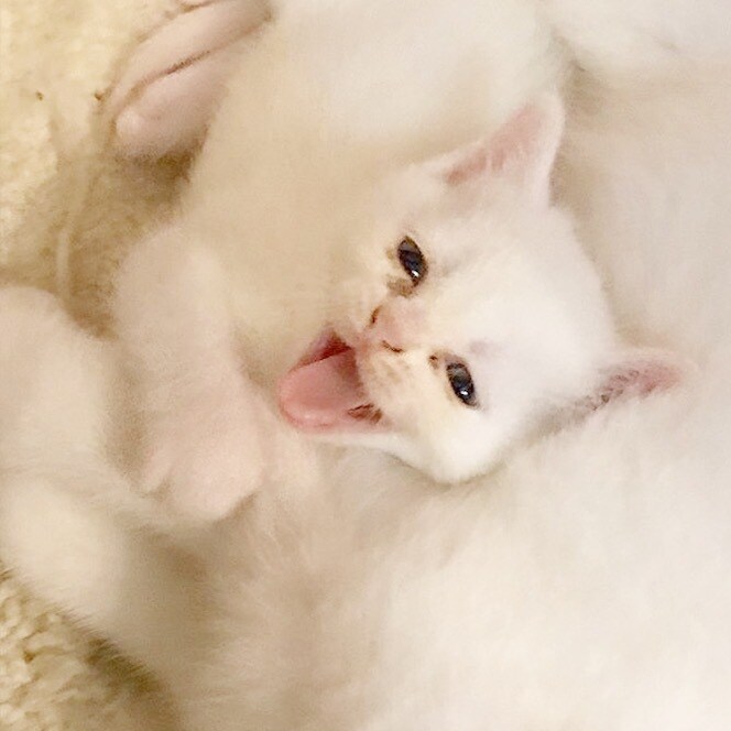 私にどーんと甘えてください！優しく受け止めます 大人でいることに疲れてしまったあなたへ。 イメージ2
