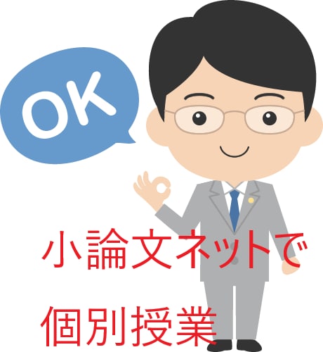 国際系学部の入試小論文を指導します 政治経済の知識（TPP,南北問題,ODAなど）も解説できます イメージ1