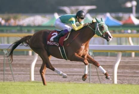中央競馬厳選の1レースの予想を提供します 中央競馬での優良な予想情報が欲しい方 イメージ1