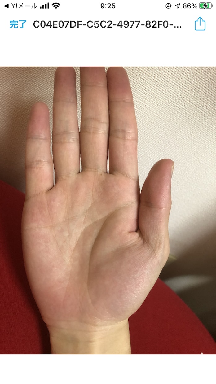 手相鑑定いたします 手相から見えることがたくさんあります。 イメージ2