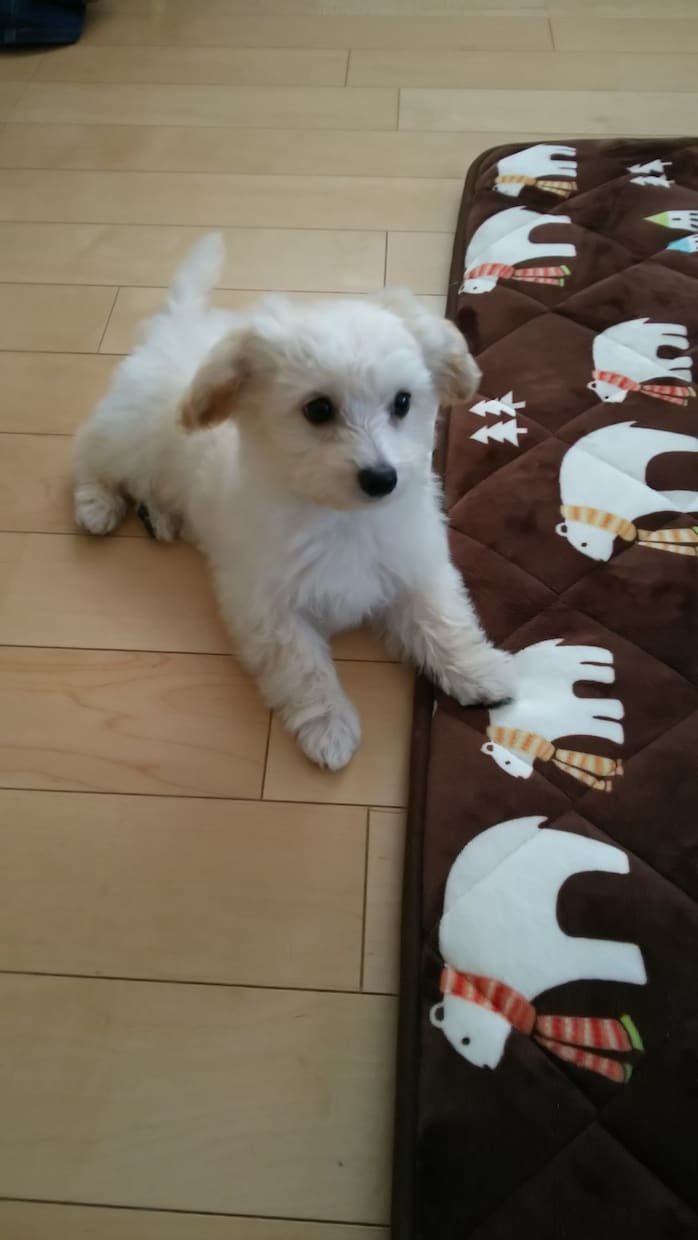お話し相手をお探しの方！優しく寄り添います 人間関係／いじめ／恋愛／仕事／不倫／相談／愚痴／ イメージ10
