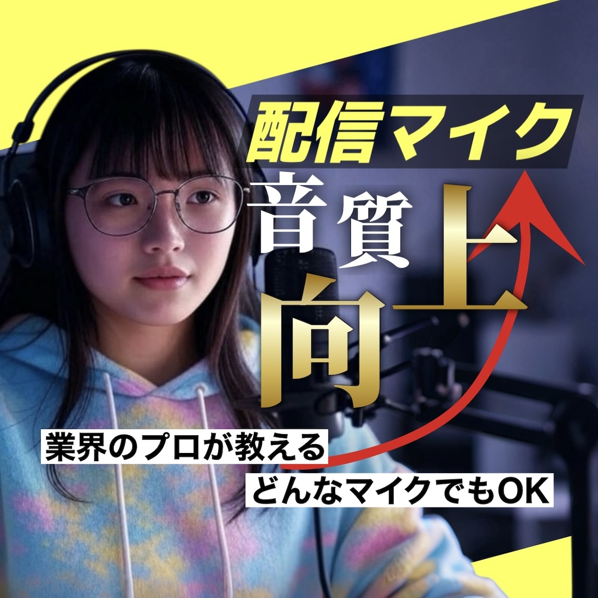 ライブ配信・通話のマイク音声の音質を向上させます お金をかけなくてもあなたの「声」、もっと良くなります。 イメージ1