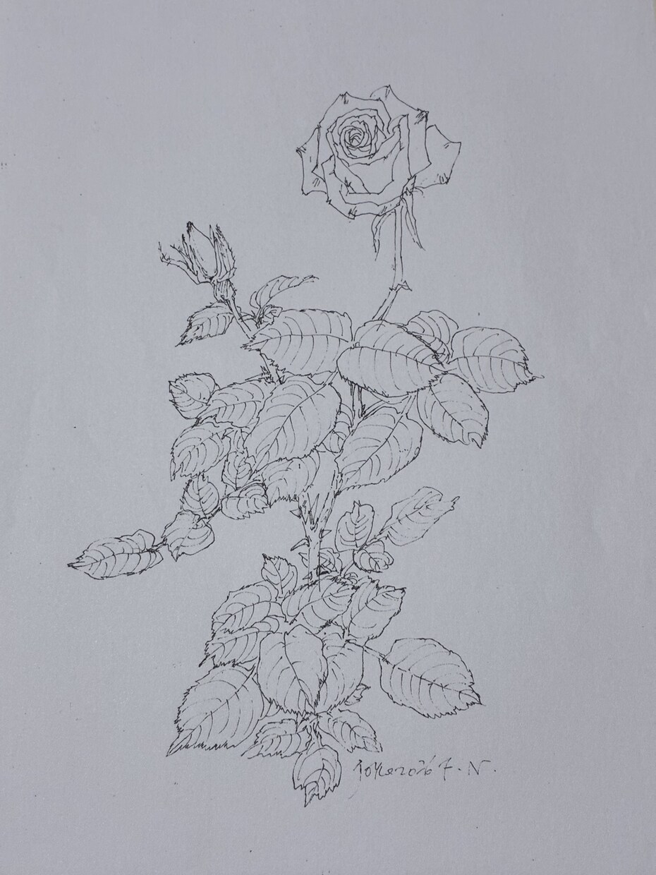 写真から手描き大切なペットや植物の画を制作します 自然で、あなたの心に寄り添う世界に一枚のアートをお届けします イメージ4