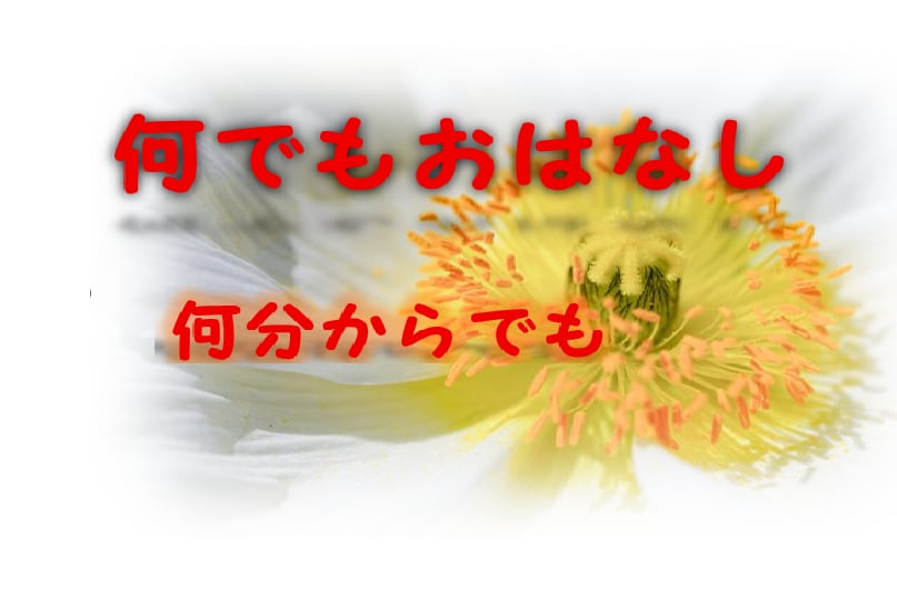 言葉の後ろ側にも耳を傾けます 心がほどけるように、そっと聴きます イメージ1