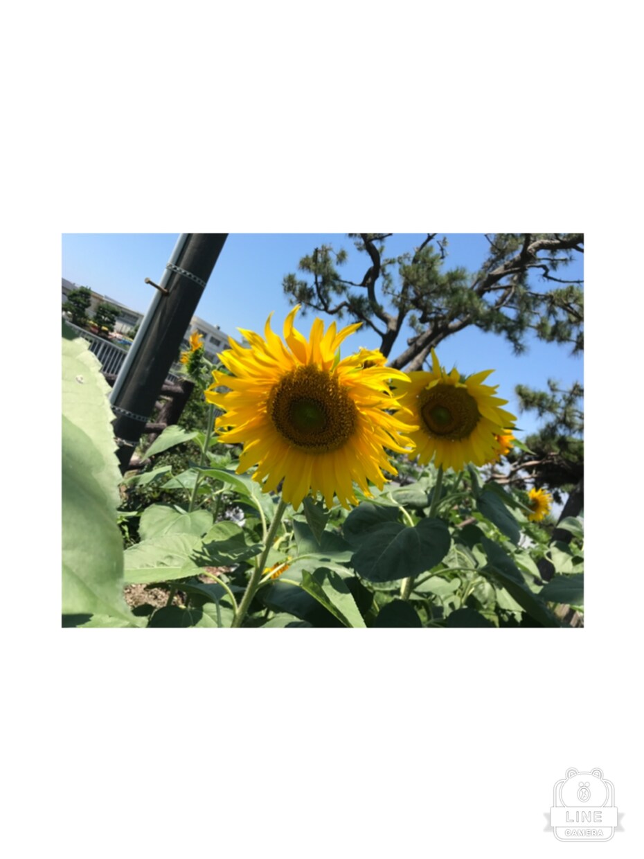 女性限定。友達になります 自分の将来の夢など、仕事であった話友達感覚でお話しききます☆ イメージ1