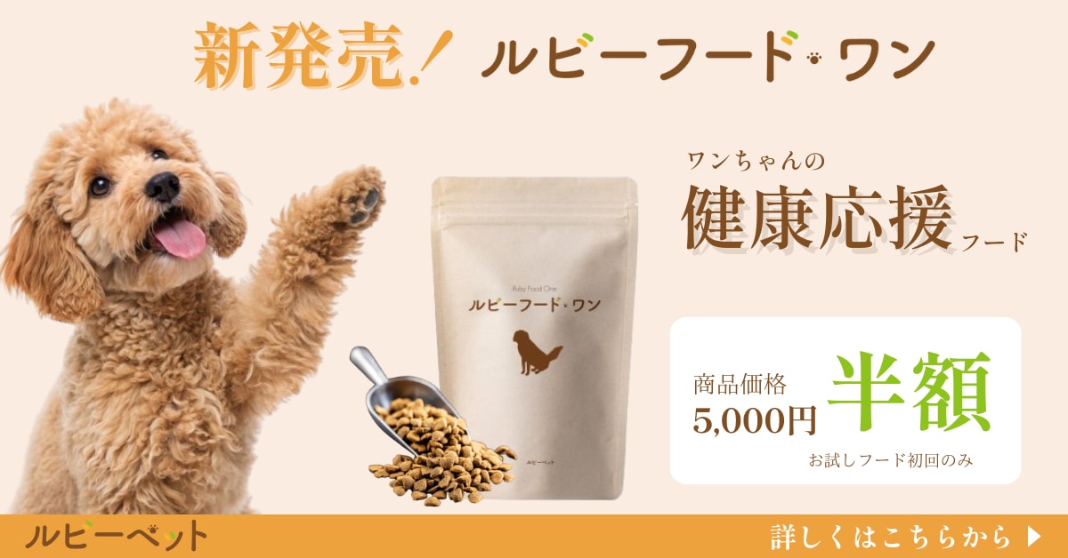 集客・売上UP！　目を惹くデザイン制作します 初回２案ご提案／修正３回まで無料　起業や開業し集客が必要な方 イメージ2