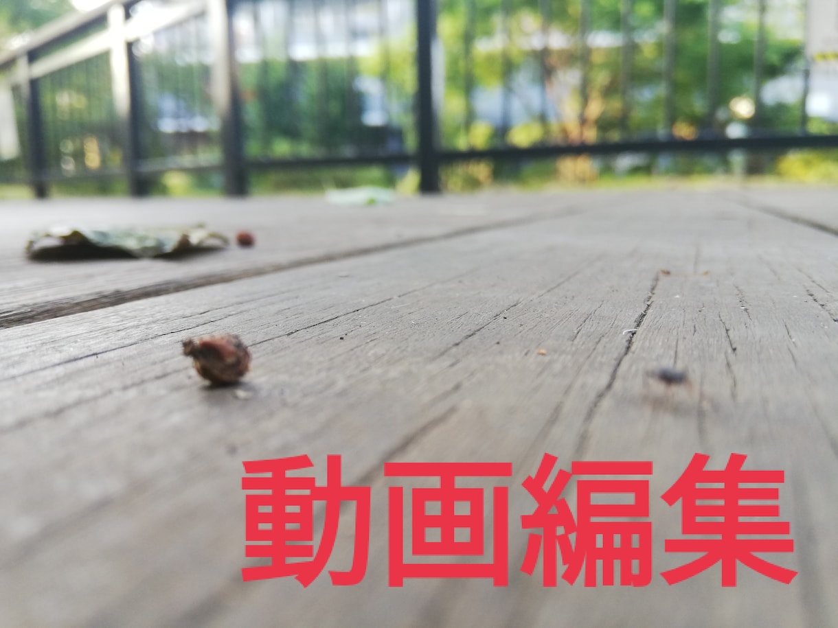 Youtubeや自社HPで公開する動画の作成します エフェクト適用・カット・色調補正・BGM装入等なんでも！ イメージ1