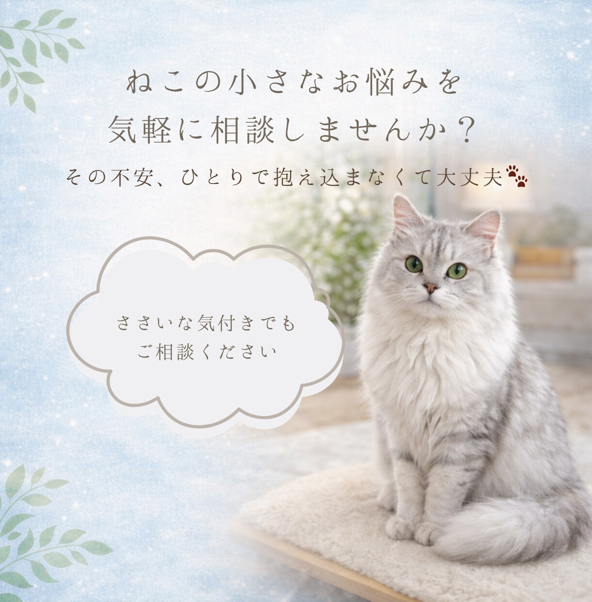 ねこのちょっとしたお悩みの相談にのります 小さな不安や気になることを気軽に相談OKです イメージ1