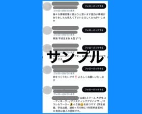 お買い得!Twitter日本人フォロワー増やします ツイッター＋310人〜増加可能☆それ以上はOP参照下さい イメージ3