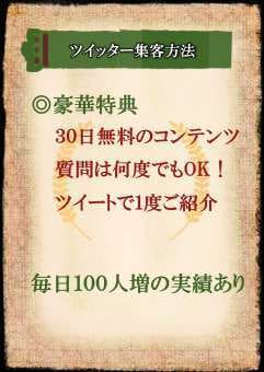 増やすだけじゃダメ！Twitter集客方法教えます Twitterガチりたい！超初心者ＯＫ！豪華特典あり！ イメージ3