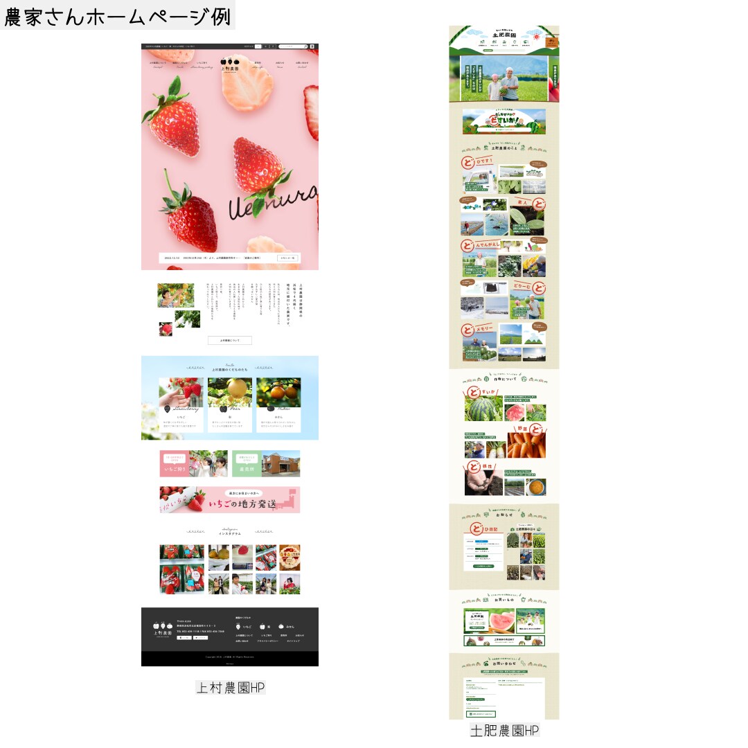 農家様を応援‼　格安で本格的なHP制作します 【農家様限定】 お米・野菜・果物、何でもOKです!! イメージ3