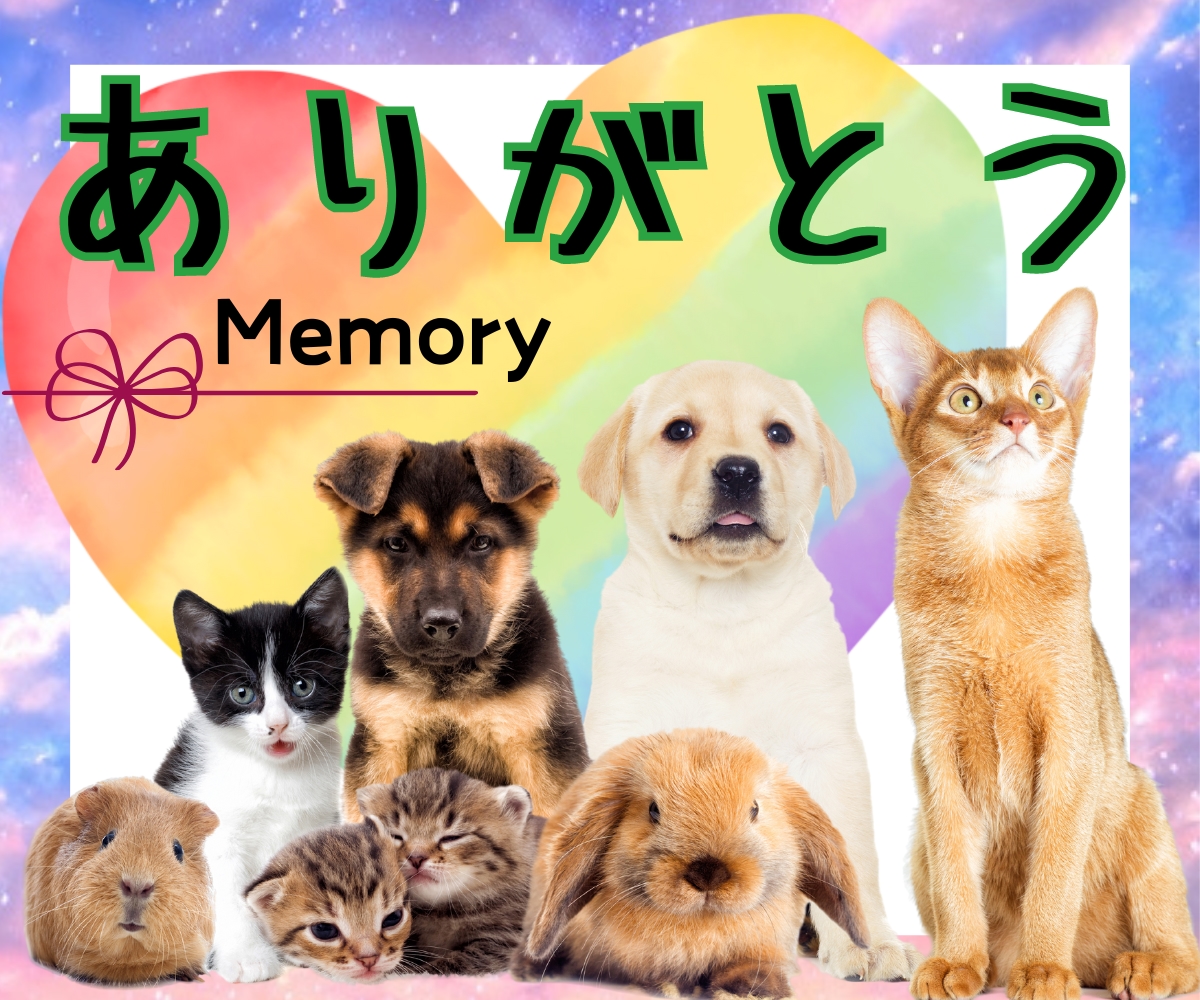 愛しい記憶☘ペットロスの悲しみを温かく癒します 愛した大切な子を共に想い耳を傾けます☘愛と感謝を胸に進む一歩 イメージ1