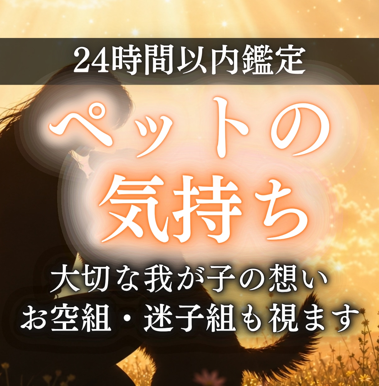 ペットの気持ちをアニマルコミュニケーションで視ます お空組・迷子組歓迎 ペットの気持ちとあなたへのメッセージ イメージ1