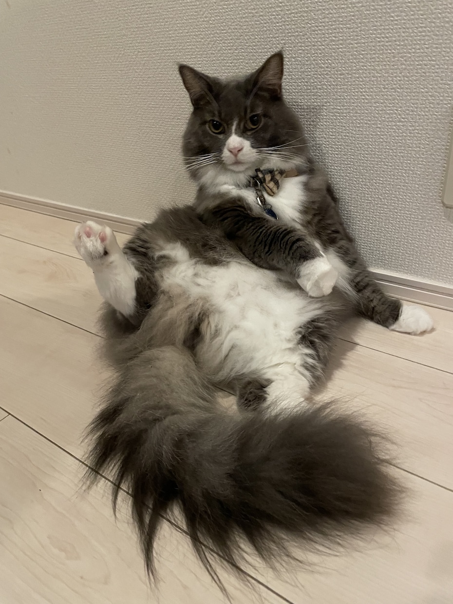 下積みの苦労を知る私があなたの味方になります 1人で頑張るあなたへ。忍耐の先にある成長をサポートします。 イメージ4