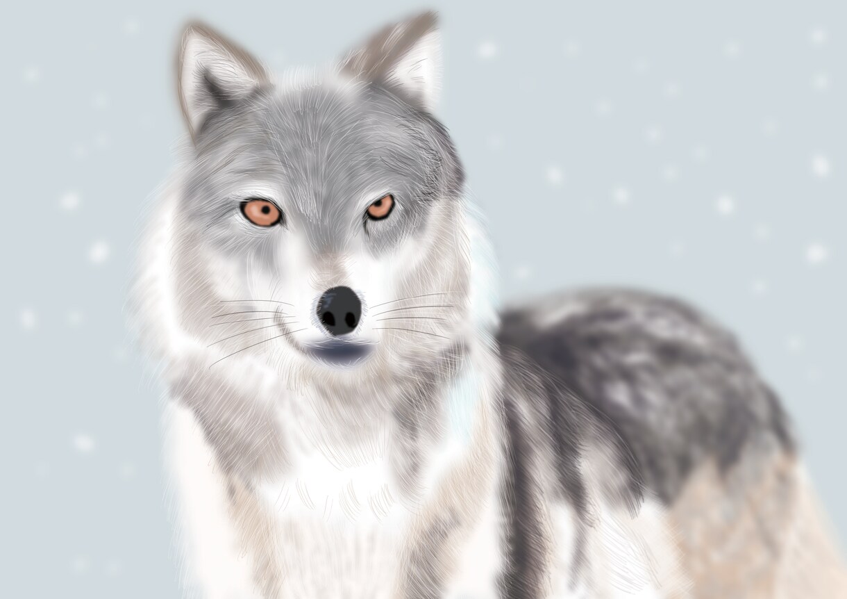 ペットのイラスト作成致します 可愛いペットのイラストを作成してみませんか？ イメージ2