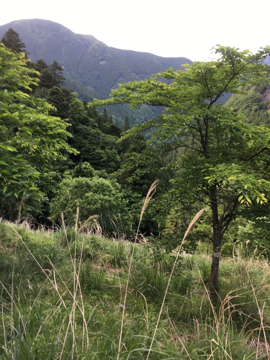 楽しく仕事をする方法教えます 日々の辛い仕事に対する気持ちを変えてみせます！ イメージ1