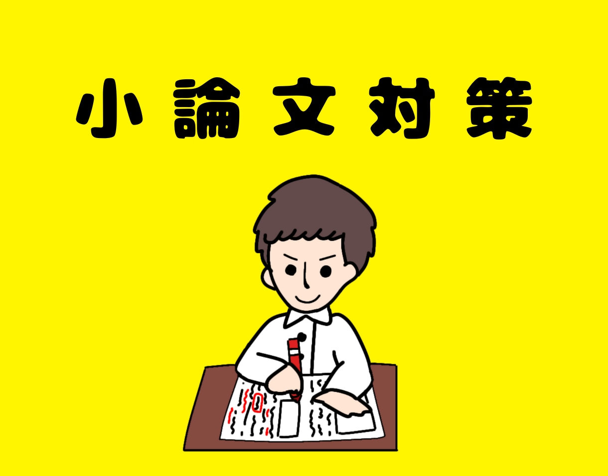 教員採用試験(教採)面接・小論文・ES等対策します ✨【ご契約版(短期一括)】直前対策などもオーダーメイドで❗️ イメージ3