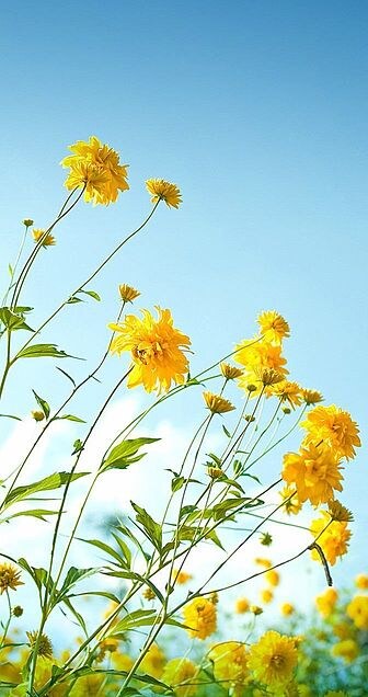 愚痴聞きます いろんな方に。どなたでもお気軽にどうぞ。 イメージ3