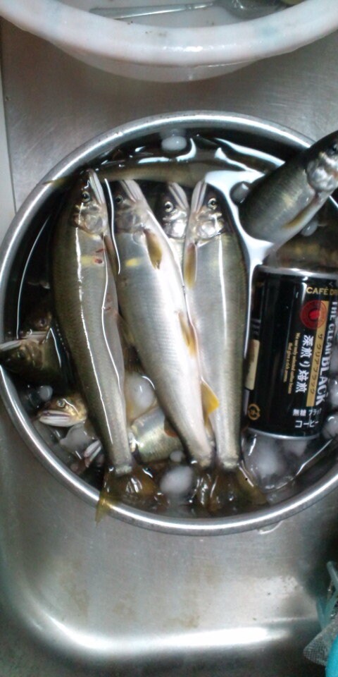 鮎釣りのコツ教えます 今より少し鮎がたくさん釣れるように イメージ1