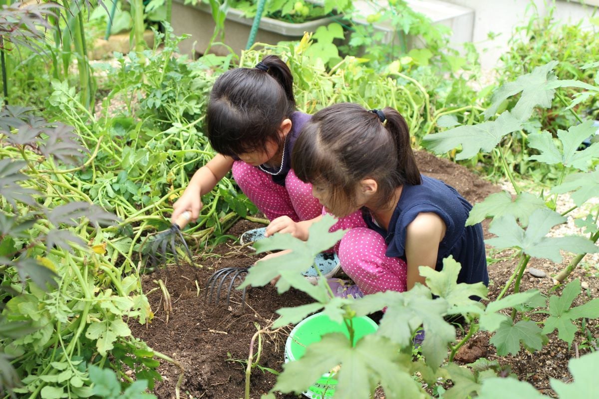 家庭菜園作りのご相談に乗ります 家庭菜園を家族で楽しみたい方、サポートさせて頂きます! イメージ3