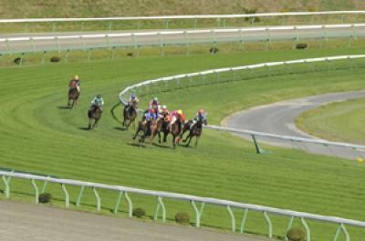 水沢競馬予想☆小頭数で的中目指します オッズ無視の人気に左右されない予想をしています☆ イメージ1