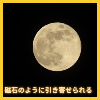 ツインソウル・ツインレイ⭐️のご縁を繋げます ツインソウル、ツインレイなどの関係性をぜひお話ください✨ イメージ3