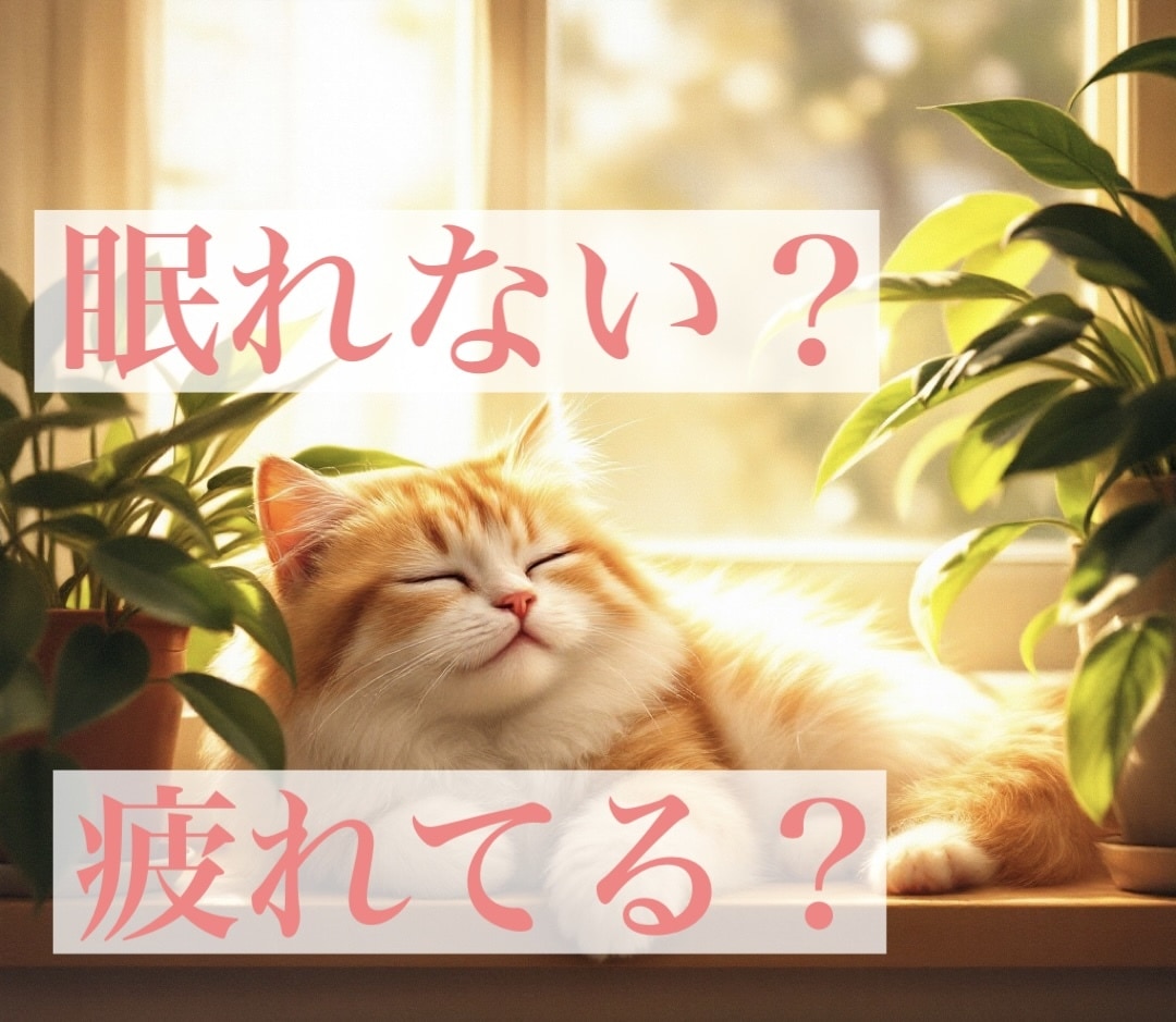 あなたに寄り添ってどんなお話しもお聞きします 眠れない　疲れてる　人恋しい　まったりとあなたの心を癒します イメージ4