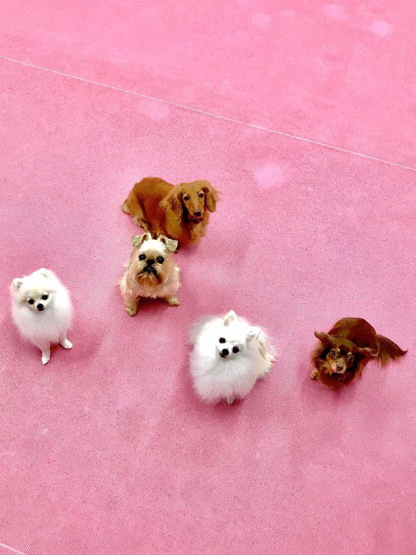 メール無制限♪皆さんの恋愛相談承ります 恋愛や結婚のお悩みをお持ちの方、ご気軽にご相談くださいね♪ イメージ1