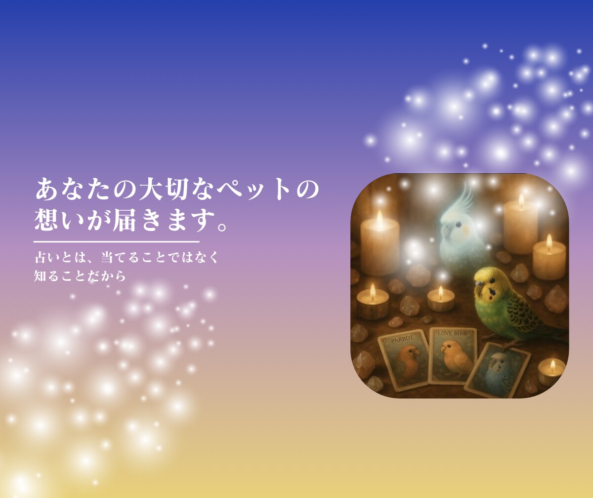 大切なペットがあなたに伝えたい想いを届けます 飼い主さんと心を繋ぐペットタロット！虹の橋の子にも対応 イメージ5