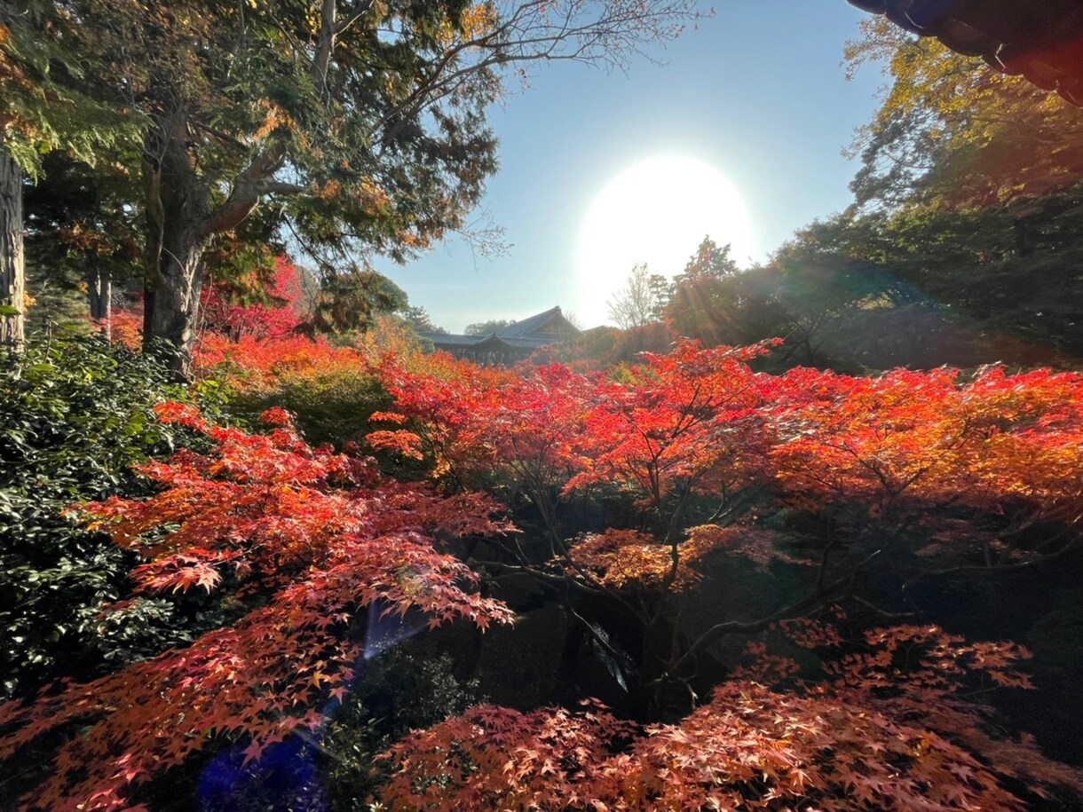 学生のゲイのお悩み相談にのります 辛い学生時代を乗り越えた秘訣を教えます！ イメージ1