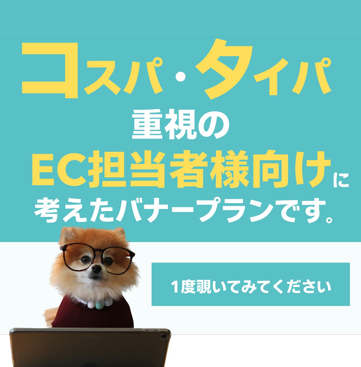とにかく早くシンプルに！バナー画像を制作します ☆忙しい方のために考えた、とにかく手間を省いた新しいプラン☆ イメージ1
