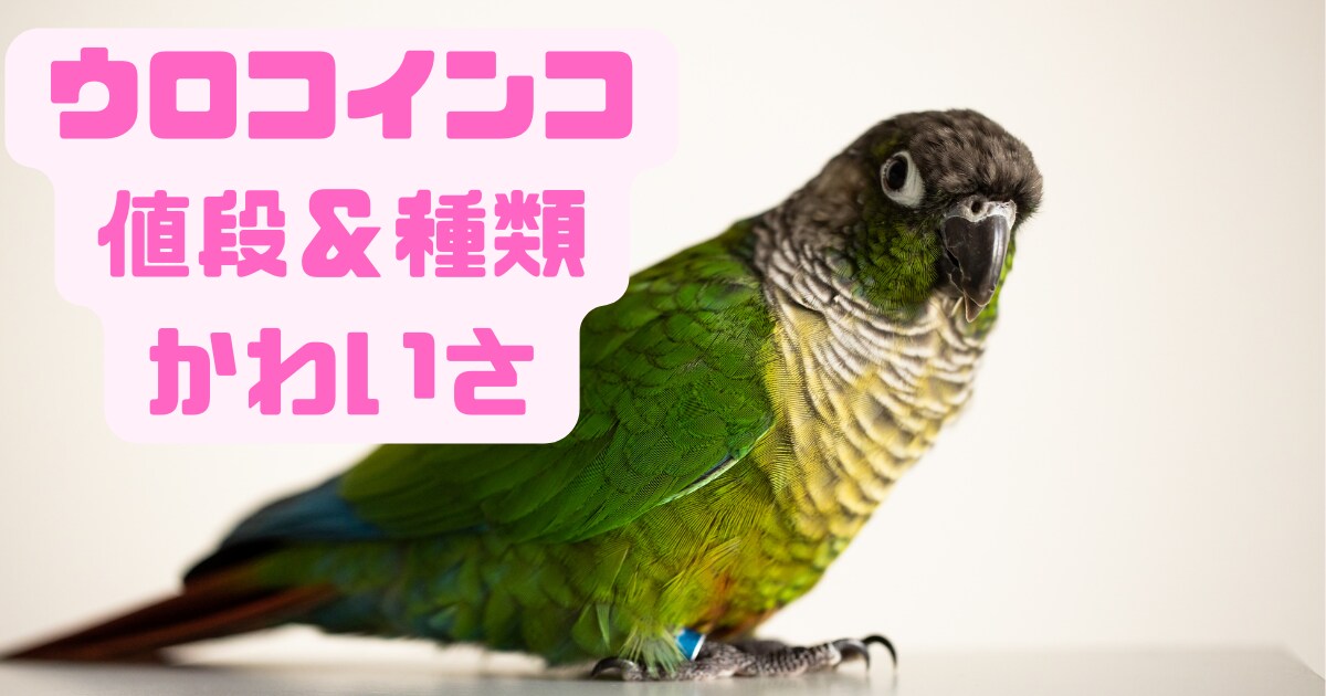 サムネイル１枚と挿入画像４枚納品します ブログで使う一式を格安で制作します！ イメージ6