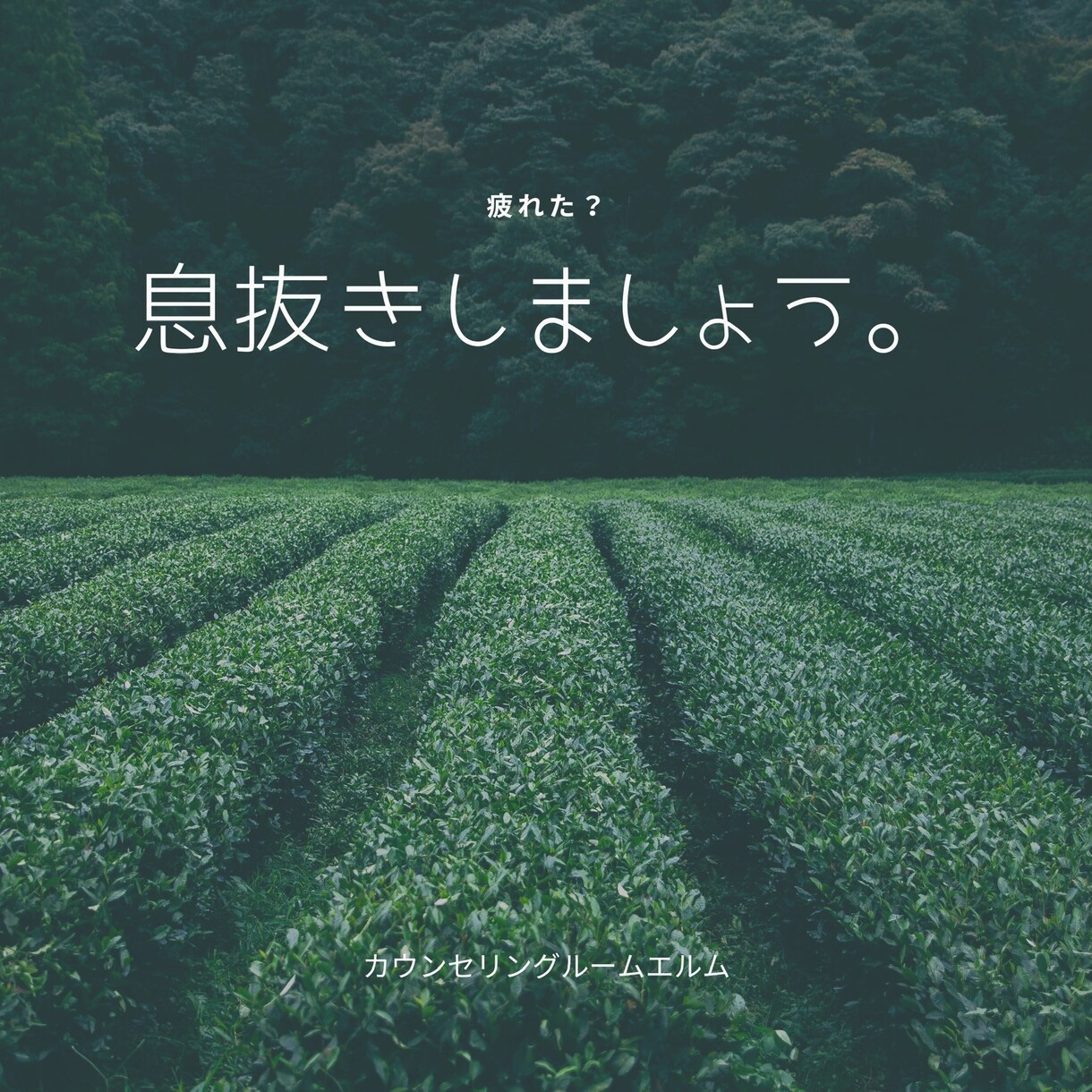 心理カウンセリングします 心軽やか前へ進みましょう　あなたに寄り添います イメージ2