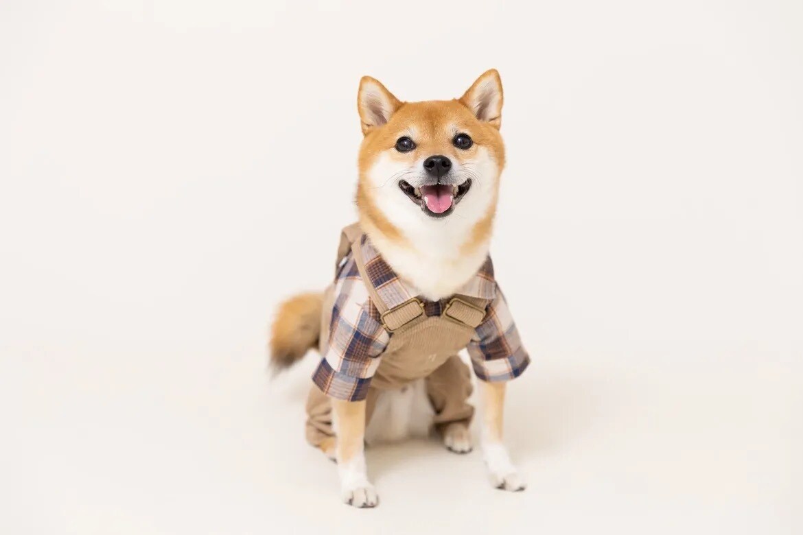 お写真からワンちゃんのモノクロ似顔絵描きます お二人までお値段そのまま！データのみのお渡しなので早い！ イメージ7