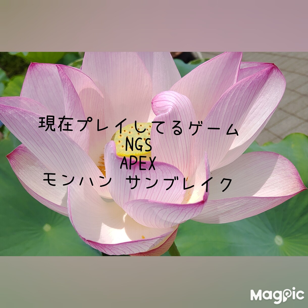 のんびりチャットで☆愚痴〜相談まで受け付けてます チャットで♪1日単位から♪価格低♪彼女始めました♪ イメージ2