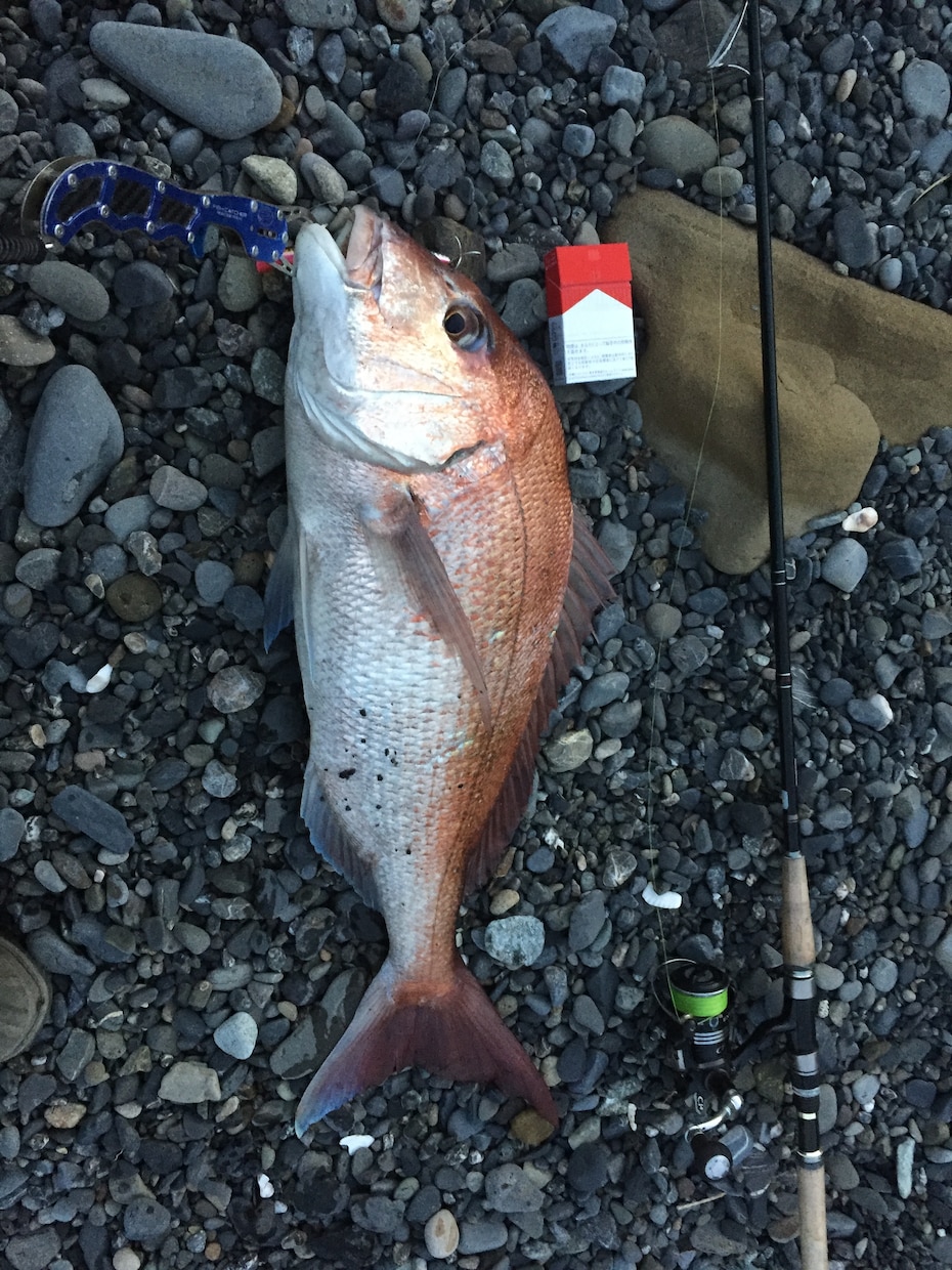 静岡サーフヒラメ高確率で釣れるポイントとルアーます 静岡サーフにてヒラメマダイのポイントをお教えします。 イメージ1